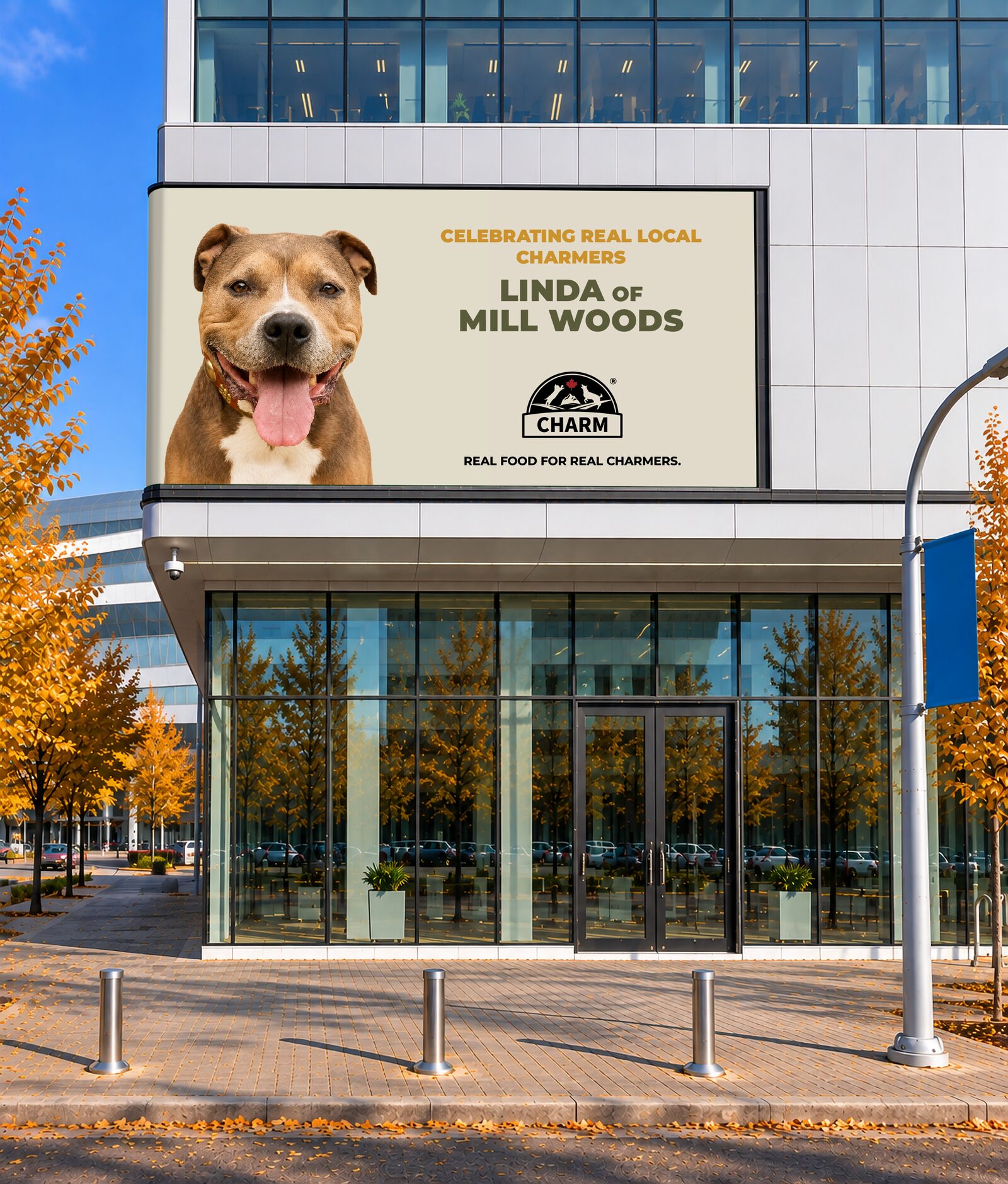 A Charm billboard on a city building celebrating Linda of Mill Woods, a local charmer